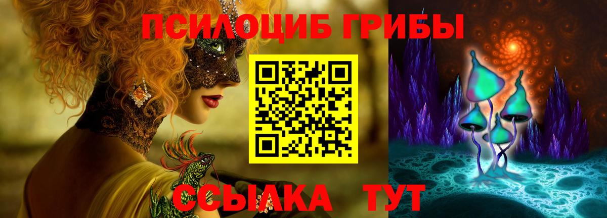 Волжск  Псилоцибиновые грибы Psilocybe  Вход с VPN 